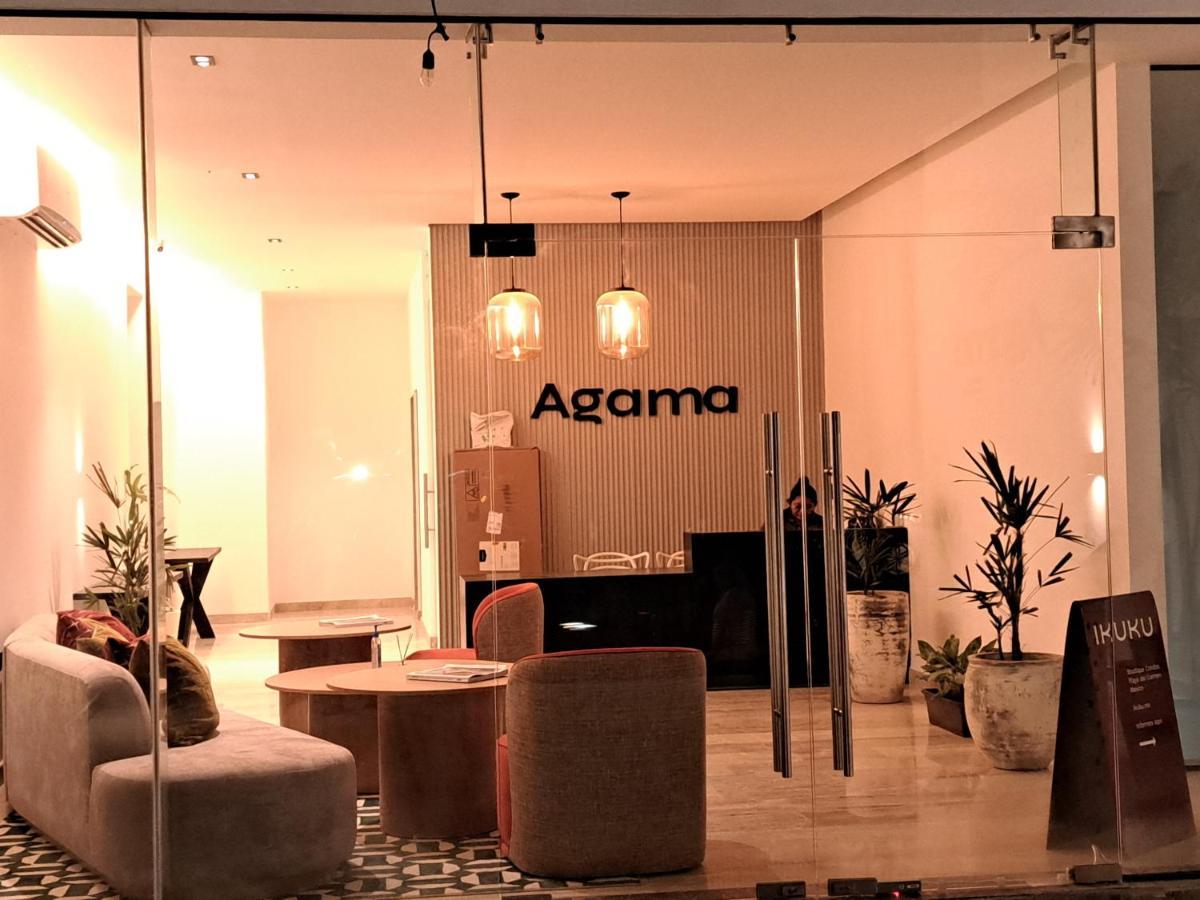 Agama Condos Playa del Carmen Bagian luar foto